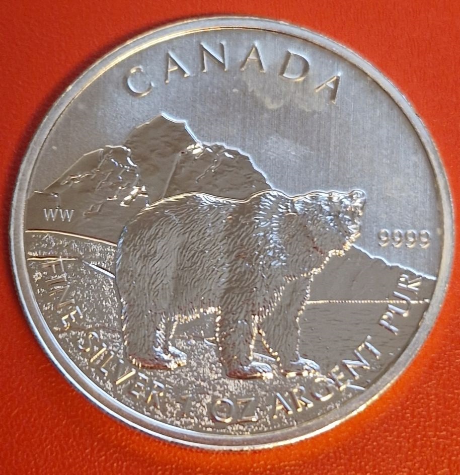  Canada 5 Dollar Maple leaf Bär 1 Oz Feinsilber 2011 Münzenankauf Koblenz Frank Maurer AI506   
