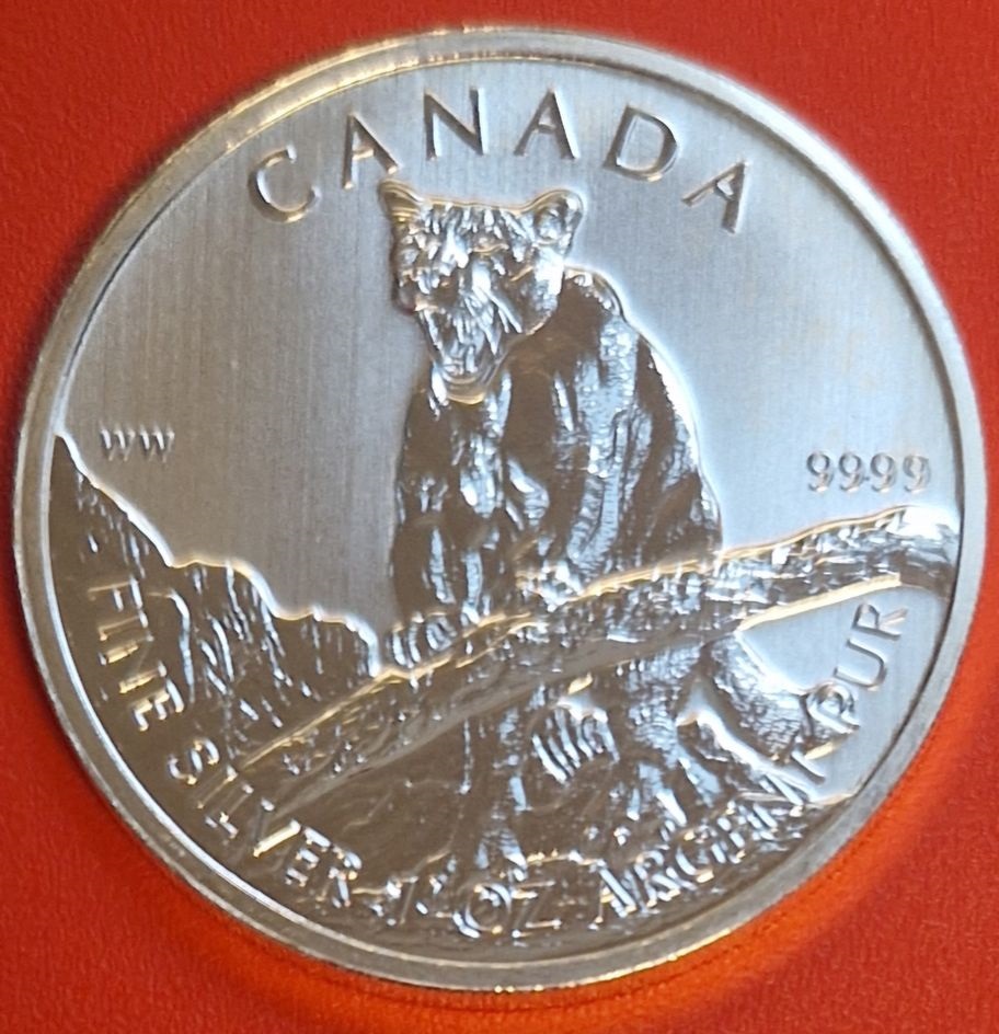  Canada 5 Dollar Maple leaf Puma 1 Oz Feinsilber 2012 Münzenankauf Koblenz Frank Maurer AI507   