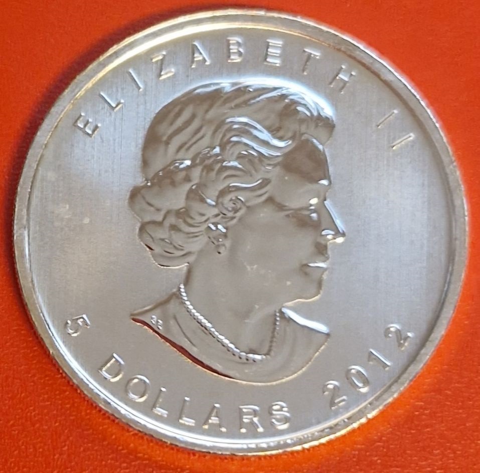  Canada 5 Dollar Maple leaf Puma 1 Oz Feinsilber 2012 Münzenankauf Koblenz Frank Maurer AI507   
