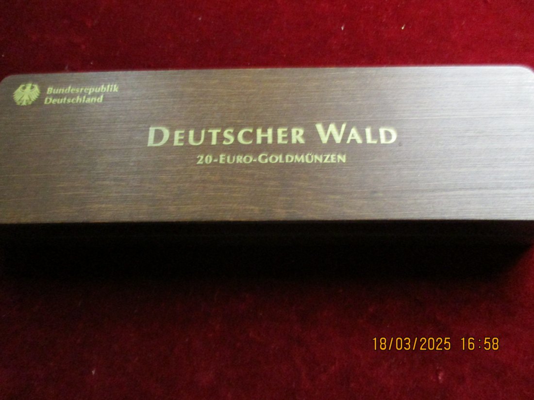  Münzbox für 20 Euro Gold Deutscher Wald   
