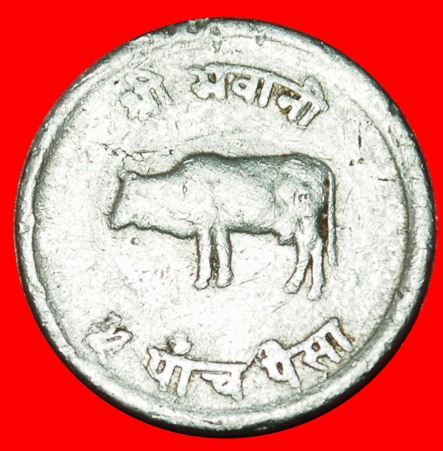 Ⰶ COW (1966-1971): NEPAL ★ 5 PAISA 2026 (1969) ERROR! MAHENDRA (1955-1972)! ★LOW START ★ NO RESERVE!
