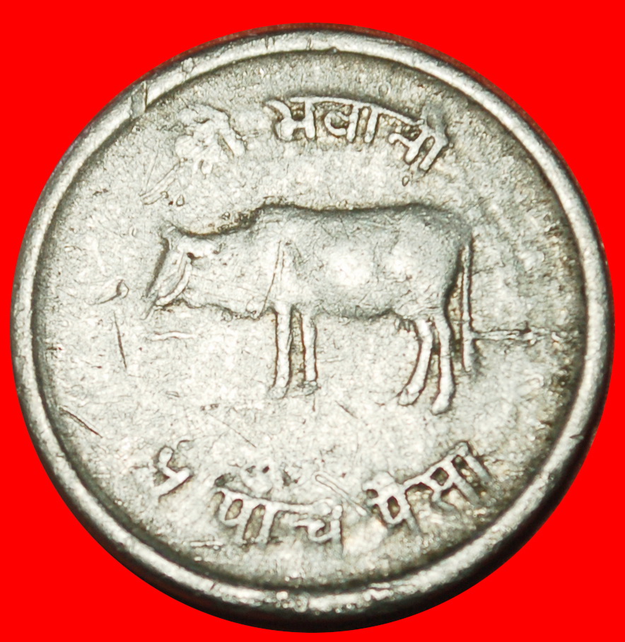 Ⰶ COW (1971-1982): NEPAL ★ 5 PAISA 2030 (1973) ERROR! BIRENDRA (1972-2001) ★LOW START ★ NO RESERVE!