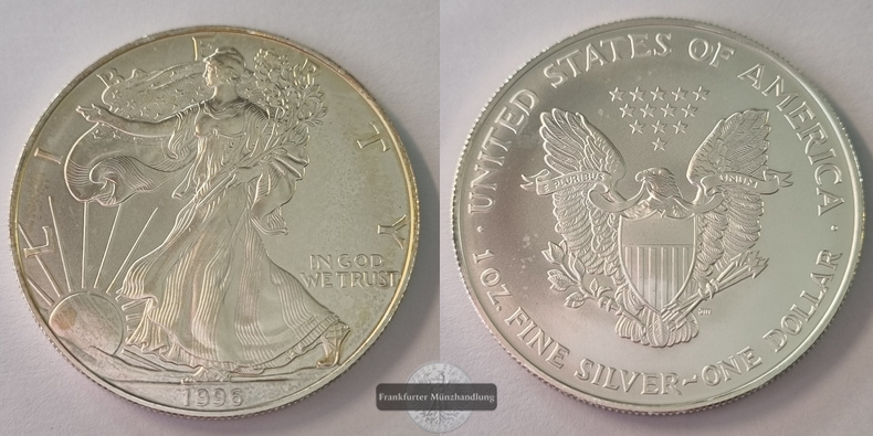  USA 1 Dollar  1996  American Eagle  FM-Frankfurt Feinsilber: 31,1g   