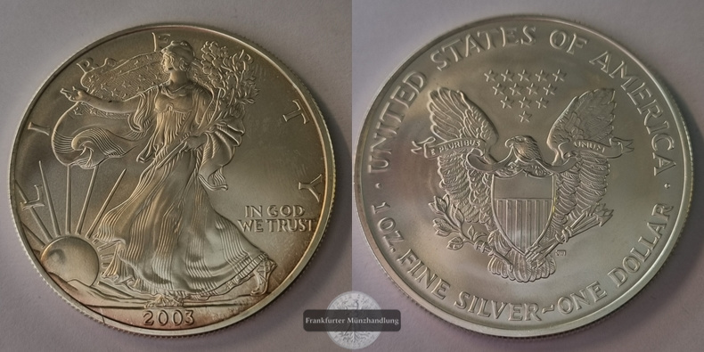  USA 1 Dollar  2003  American Eagle  FM-Frankfurt Feinsilber: 31,1g   