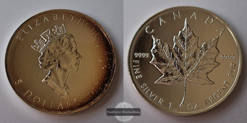  Kanada  5 Dollar  1995  Maple Leaf   FM-Frankfurt    Feinsilber: 31g   