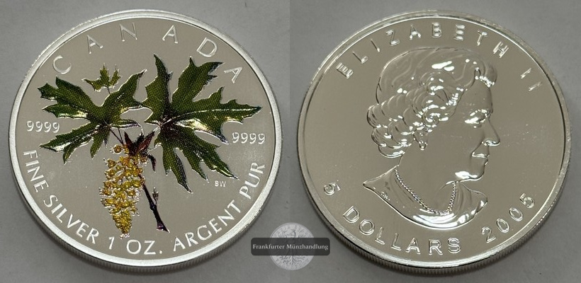  Kanada - 2005 5 Dollar - Maple Leaf Coloured Coin FM-Frankfurt Feingewicht:31g   