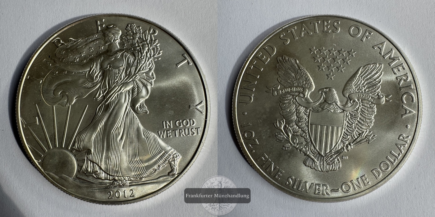 USA, 1 Dollar 2011 (1986-2021) Walking Liberty FM-Frankfurt KM#273 Feinsilber: 31g   
