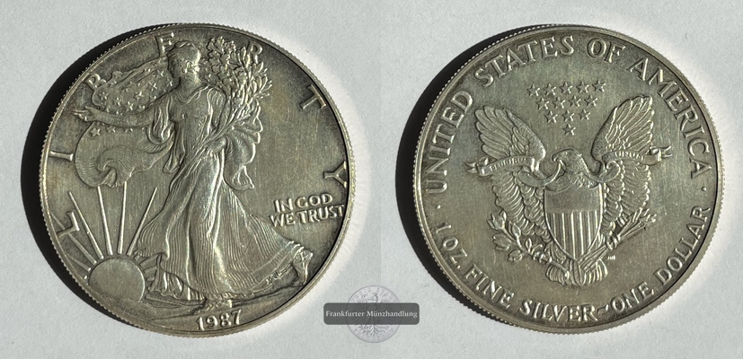  USA  1 Dollar 1987 American Eagle  KM#273  FM-Frankfurt  Feinsilber: 31,06g   
