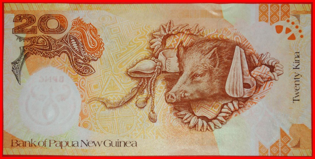 ⰆPIG SHELLS: PAPUA NEW GUINEA★20 KINAS 1973-2008 UNC! ELIZABETH II 1952-2022★LOW START ★ NO RESERVE!