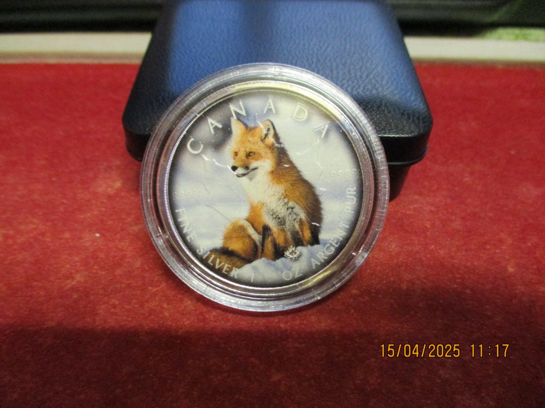  5 Dollars Kanada 2019 Farbmünze Silber 9999er 1 Oz siehe Foto - 1101053   