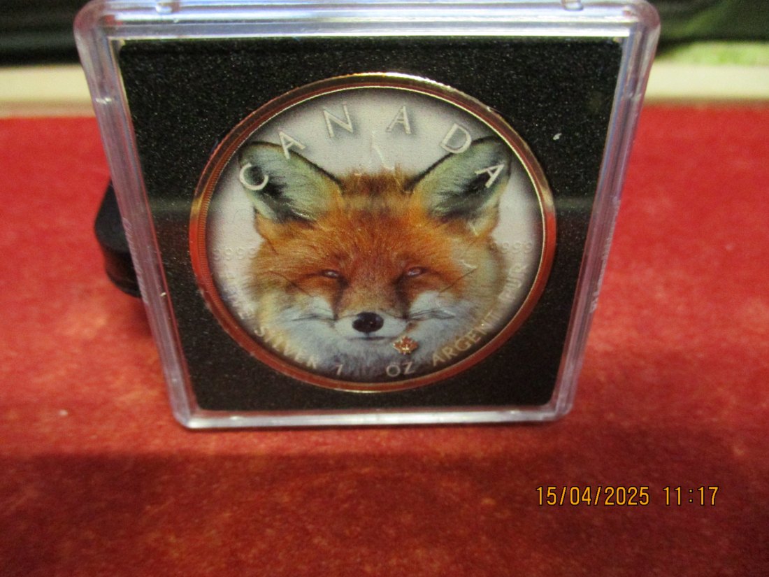  5 Dollars Kanada 2019 Farbmünze Silber 9999er 1 Oz siehe Foto - 1101053   