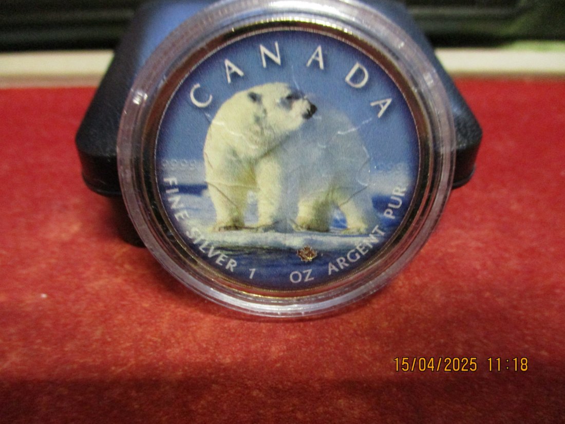  5 Dollars Kanada 2019 Farbmünze Silber 9999er 1 Oz siehe Foto - 1101053   
