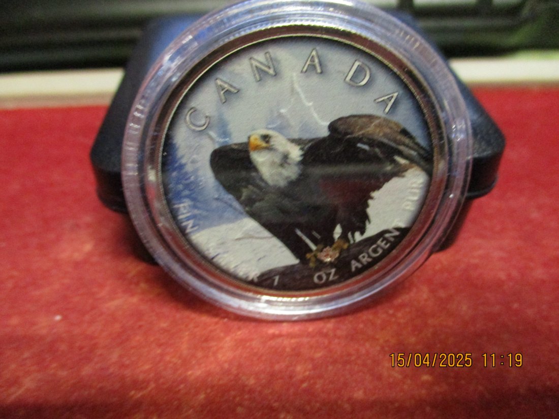  5 Dollars Kanada 2019 Farbmünze Silber 9999er 1 Oz siehe Foto - 1101053   