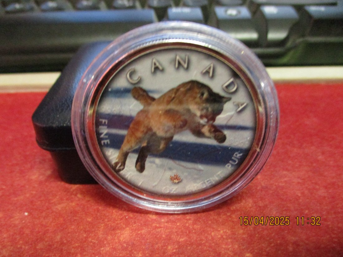  5 Dollars Kanada 2019 Farbmünze Silber 9999er 1 Oz siehe Foto - 1101053   