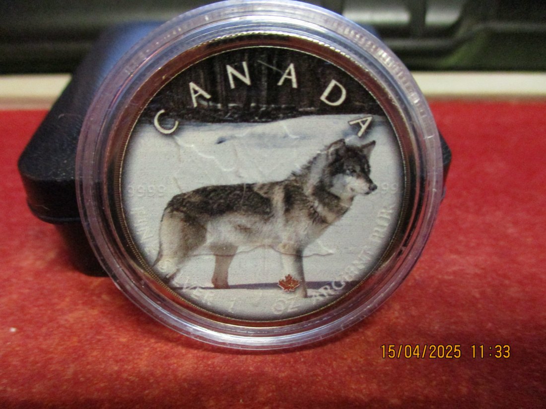  5 Dollars Kanada 2019 Farbmünze Silber 9999er 1 Oz siehe Foto - 1101053   