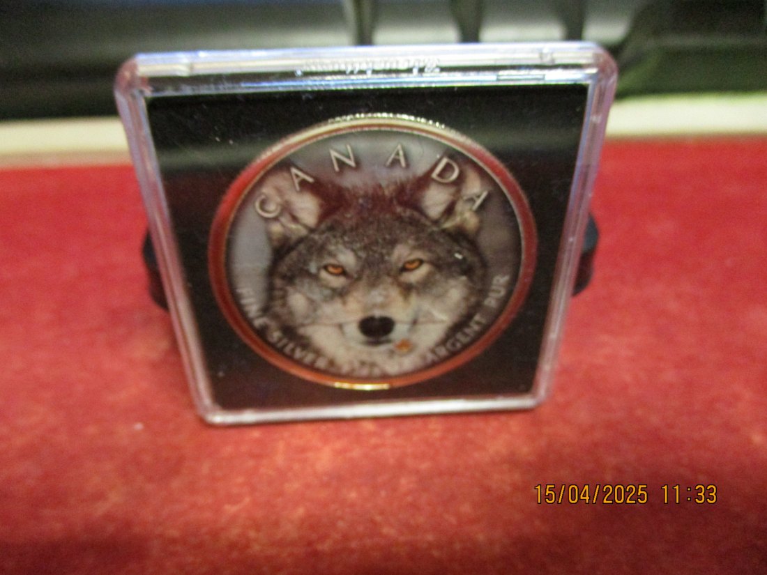  5 Dollars Kanada 2019 Farbmünze Silber 9999er 1 Oz siehe Foto - 1101053   