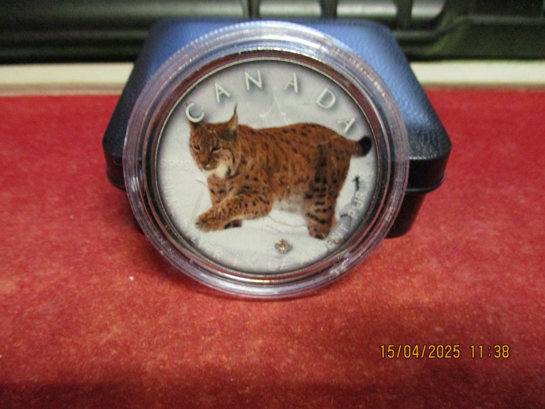 5 Dollars Kanada 2019 Farbmünze Silber 9999er 1 Oz siehe Foto - 1101053   