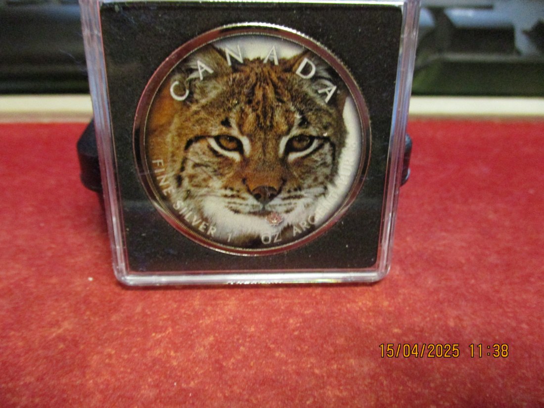  5 Dollars Kanada 2019 Farbmünze Silber 9999er 1 Oz siehe Foto - 1101053   