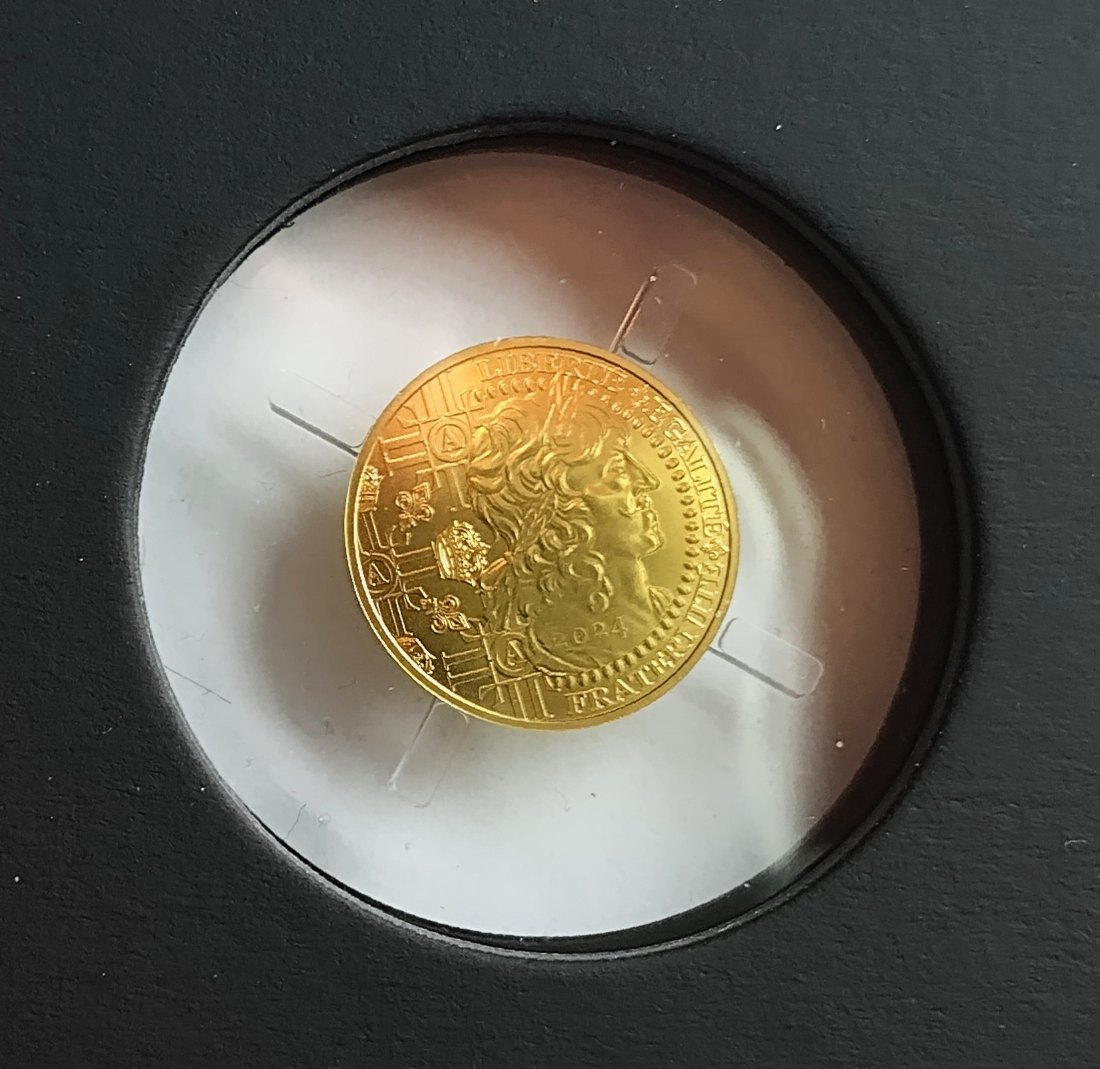  Frankreich 250 Euro Gold König Louis d'Or 2024 - 2,5gr Gold   