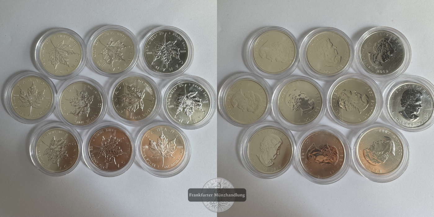  Kanada 10x 5 Dollar  2012 Elizabeth II Maple Leaf  FM-Frankfurt  Feinsilber: 311g   