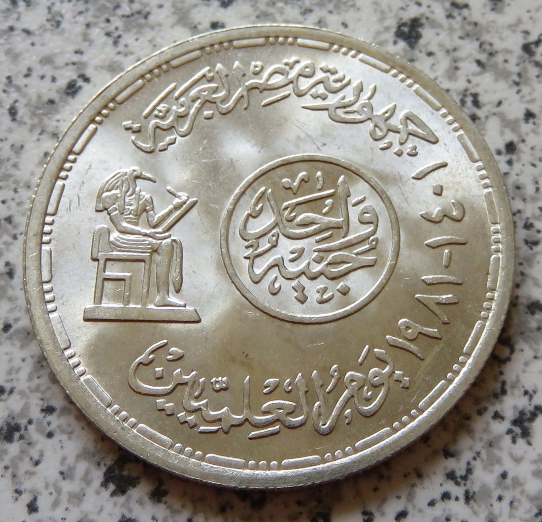  Ägypten 1 Pfund 1981   