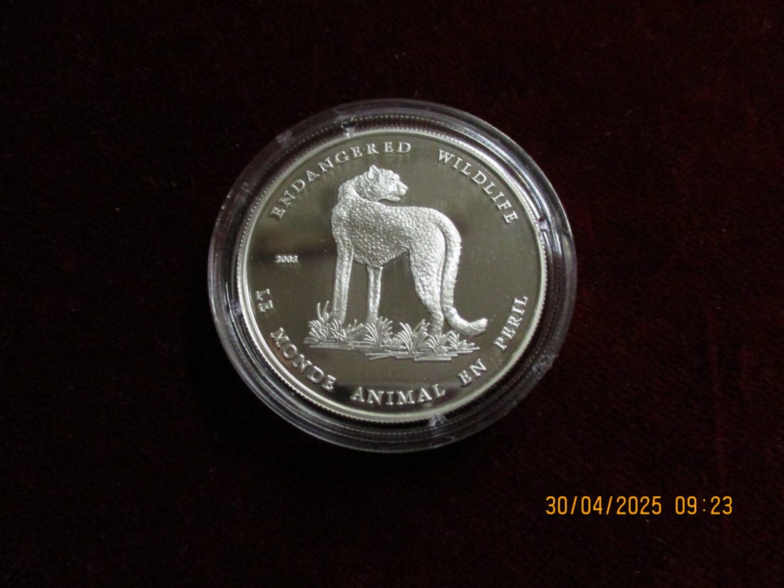  Münze 1000 Francs Tchad 2003 Wildlife ca. 18,5g fein /1101211 - 1   