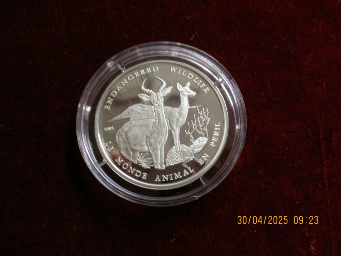  Münze 1000 Francs Togolaise 2003 Wildlife ca. 18,5g fein /1101211 - 1   