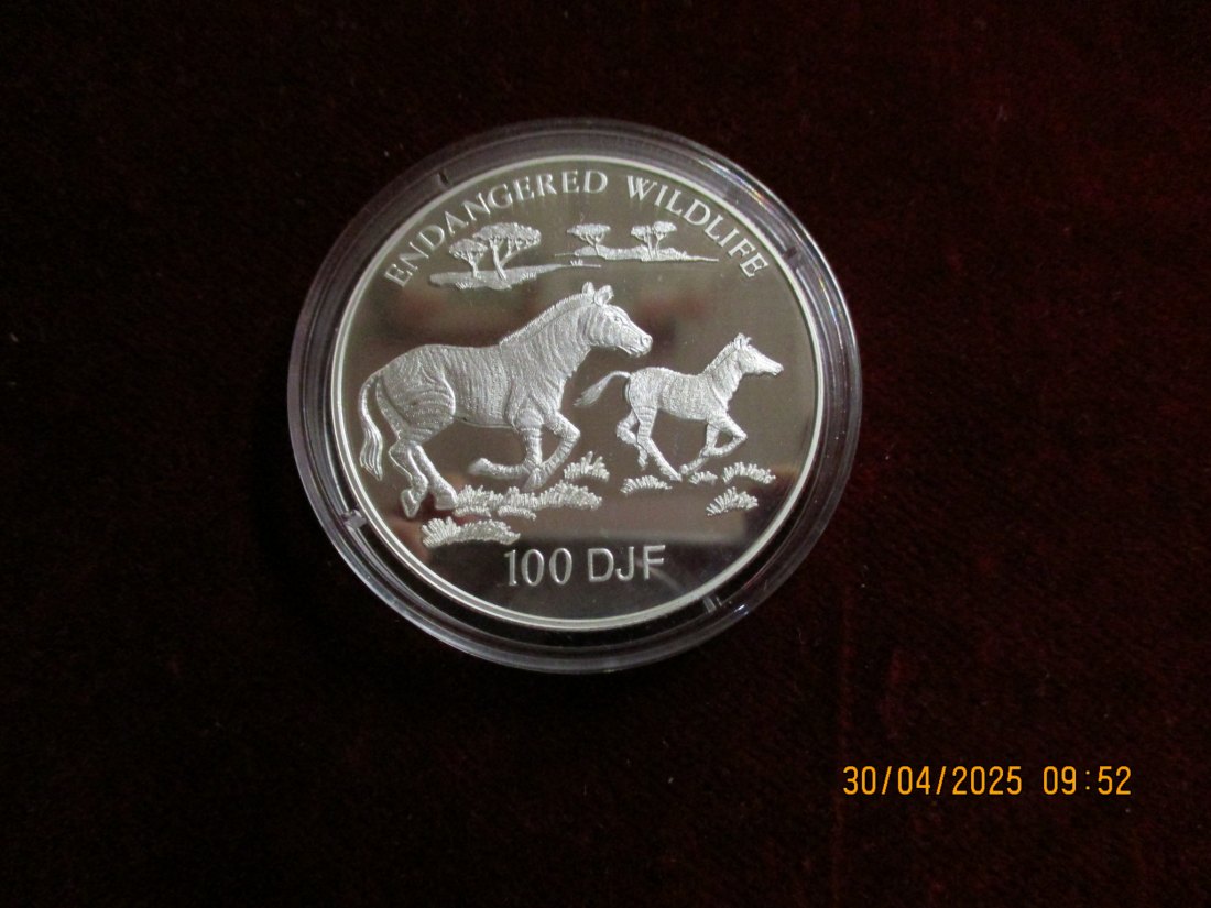  Münze 100 DJF Djibouti 1994 Wildlife ca. 29g fein /1101211 - 1   