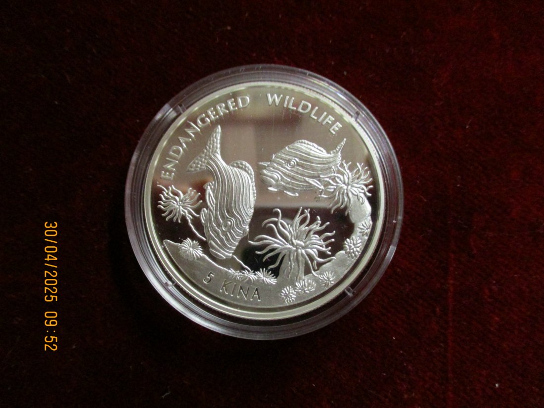  Münze 5 Kina Guinea 1997 Wildlife ca. 29g fein /1101211 - 1   