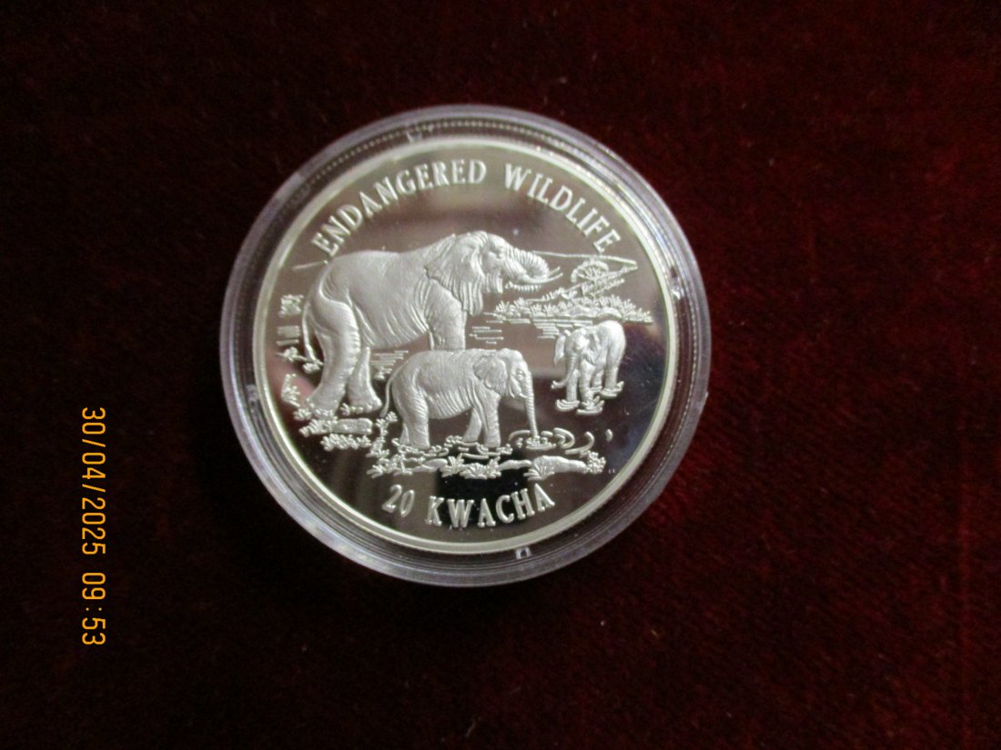  Münze 20 Kwacha Maliawi 1996 Wildlife ca. 29g fein /1101211 - 1   
