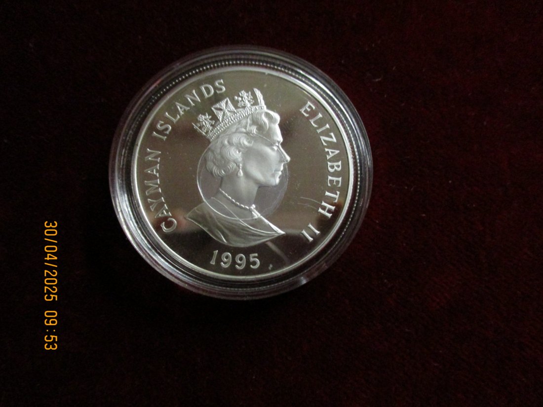  Münze: 1 Dollar Cayman Islands 1995 Wildlife ca. 29g fein /1101211 - 1   