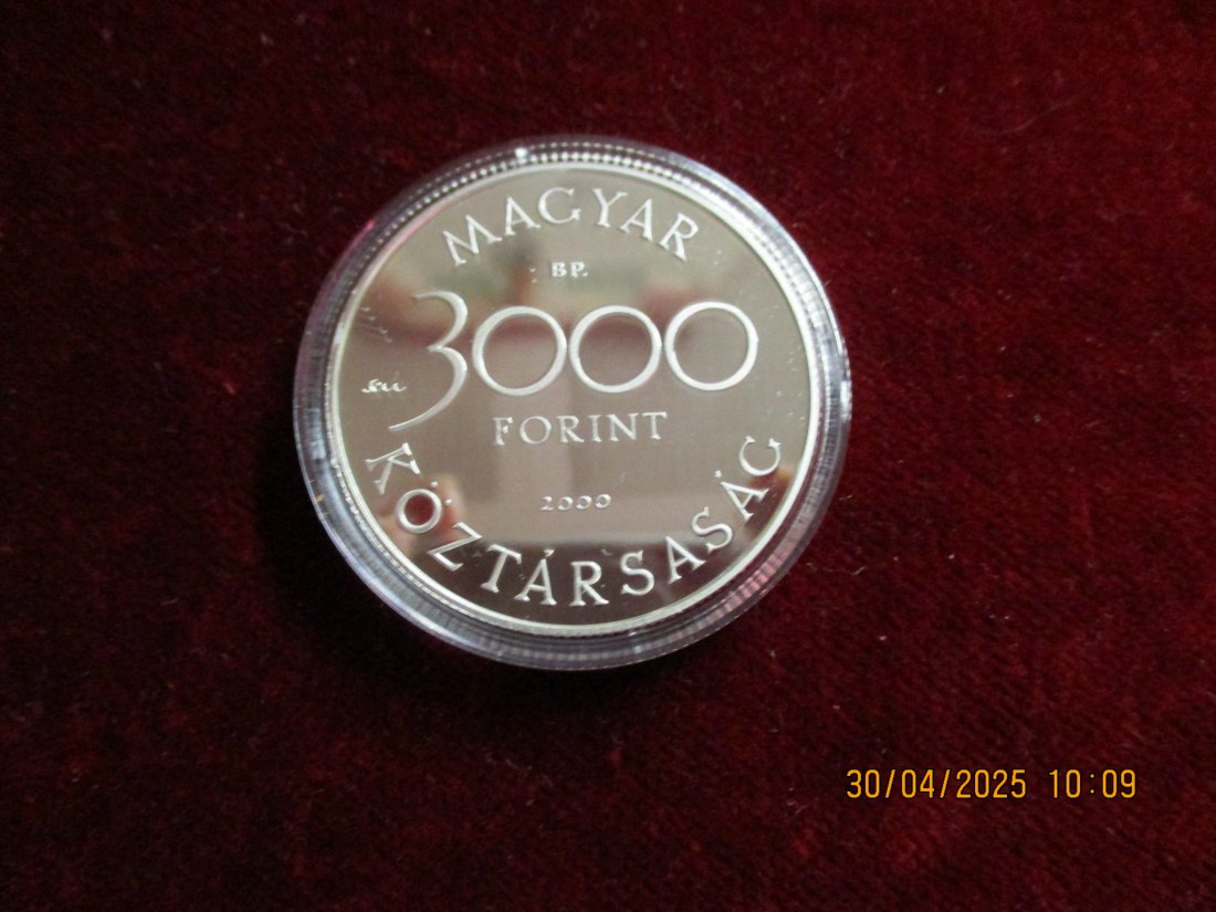  Münze: 1000 5 Dollars Jamaica 1995 Wildlife ca. 29g fein /1101211 - 1   