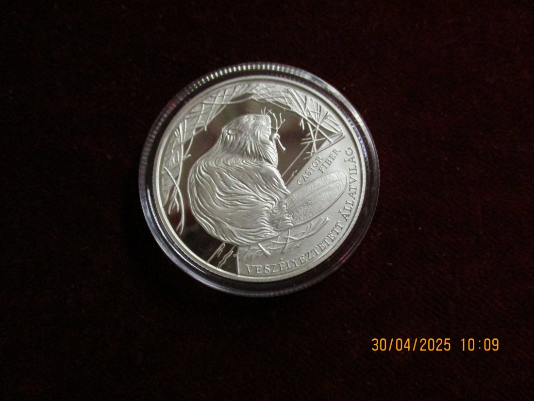  Münze: 3000 Forint Ungarn 2000 Tiermotiv  ca. 29g fein /1101211 - 1   