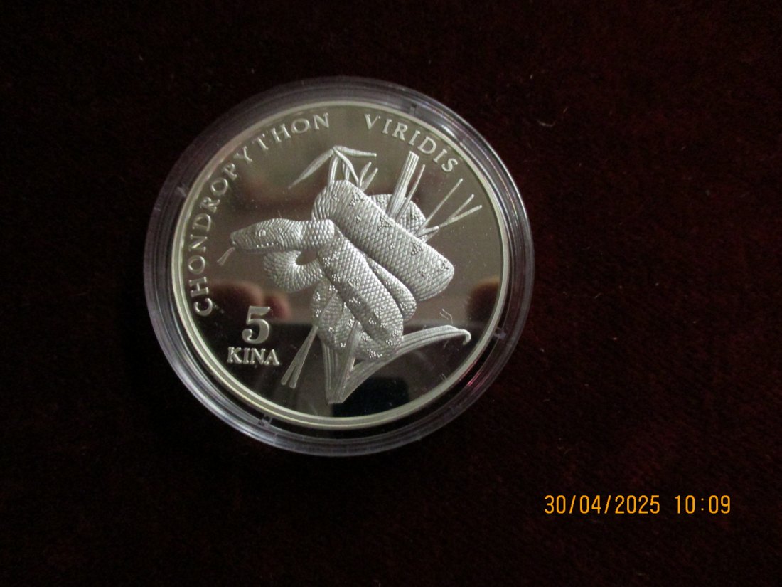  Münze: 5 Kina Guinea 1998 Tiermotiv  ca. 29g fein /1101211 - 1   