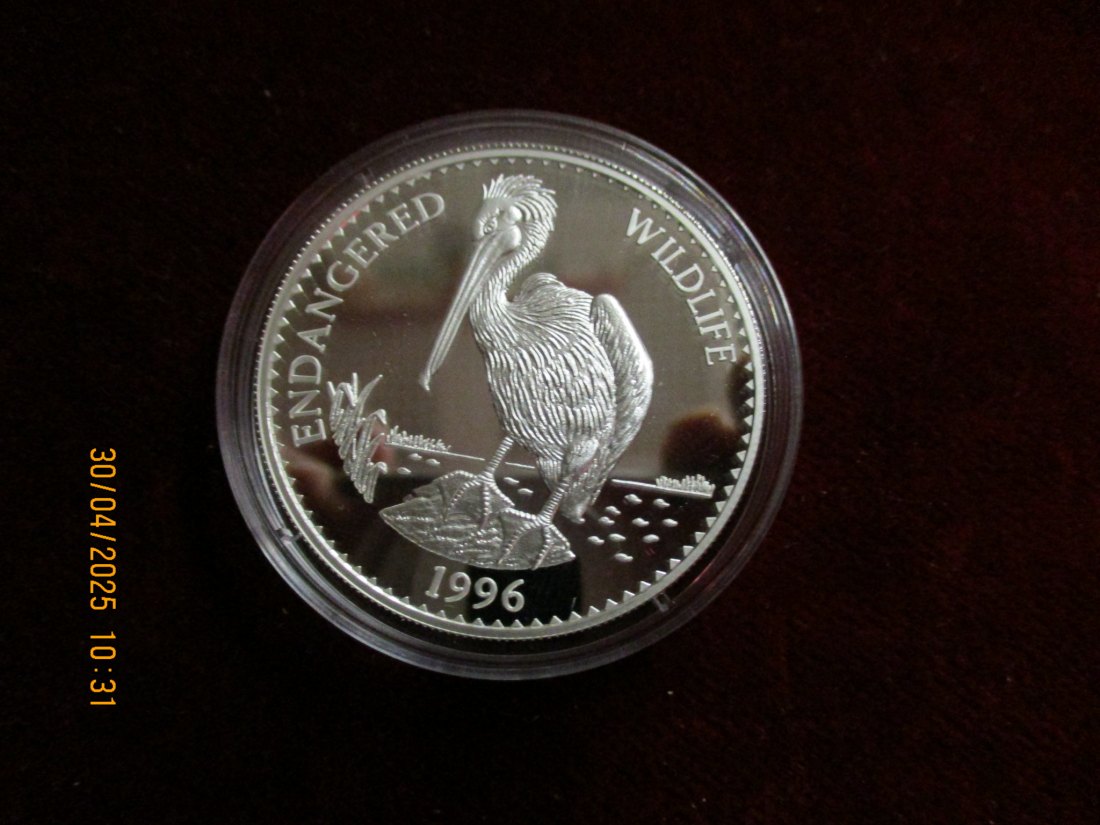  Münze: 500 t Mongolia 1996 Wildlife ca. 29g fein /1101211 - 1   