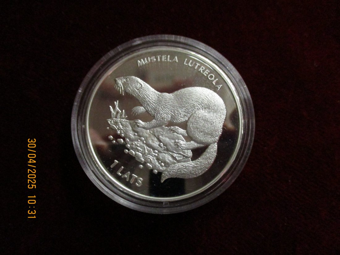  Münze: 1 Lats Latvijas 1999 Tiermotiv ca. 29g fein /1101211 - 1   