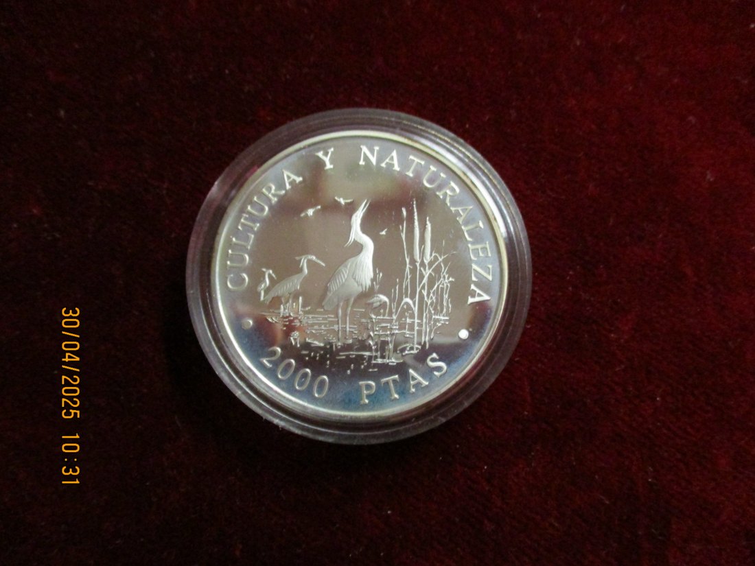  Münze: 2000 Ptas Spanien 1994 Tiermotiv ca. 29g fein /1101211 - 1   