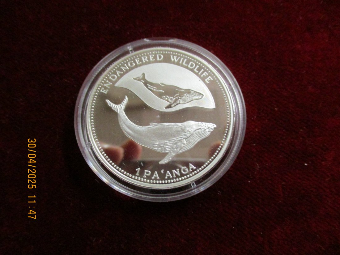  Münze: 1 Paanga Tonga 1994 Wildlife ca. 29g fein /1101211 - 2   