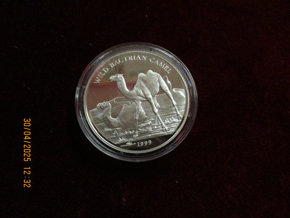  Münze: 500 L Mongolia 1999 Tiermotiv ca. 18,5g fein /1101211 - 2   