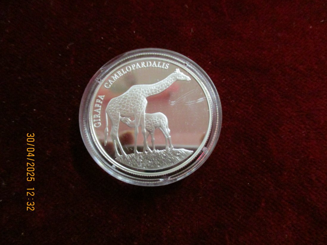 Münze: 250 Kwacha Zambia 1999 Tiermotiv ca. 18,5g fein /1101211 - 2   