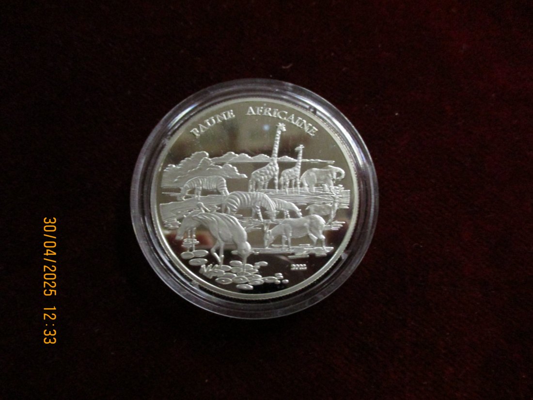  Münze: 1000 Francs Kongo 2002 Tiermotiv ca. 18,5g fein /1101211 - 2   