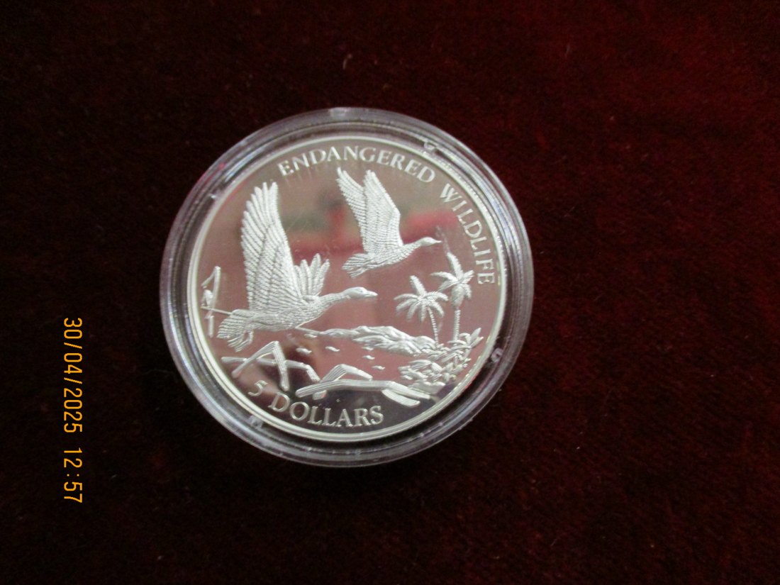  Münze: 5 Dollars Bahamas Wildlife  ca. 21,27g fein /1101211 - 2   