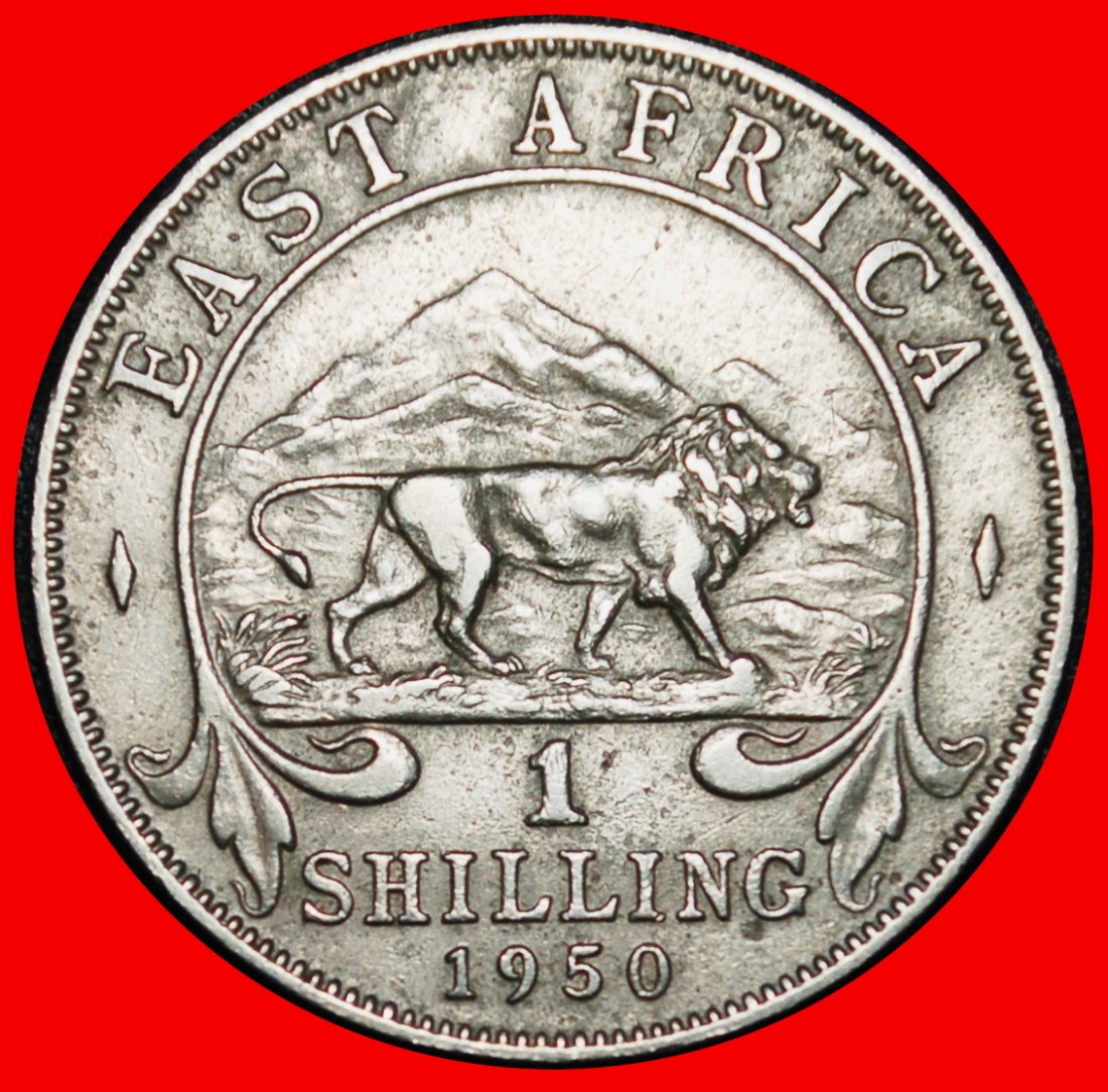 Ⰶ GREAT BRITAIN (1948-1952): EAST AFRICA ★ 1 SHILLING 1950 LION NO INDIA! LOW START ★ NO RESERVE!