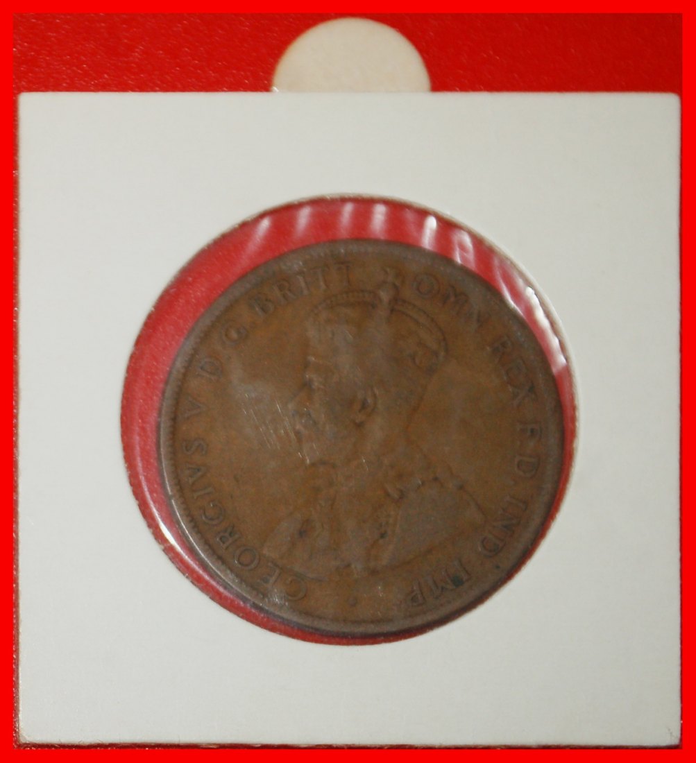  Ⰶ BRITAIN DIES:AUSTRALIA★1 PENNY 1919 NO DOT! GEORGE V (1911-1936) IN HOLDER★LOW START ★ NO RESERVE!   