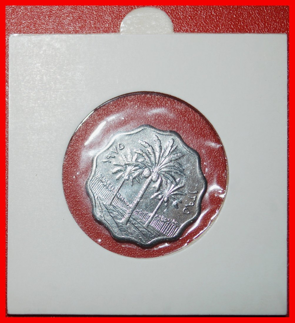 Ⰶ GREAT BRITAIN (1971-1981): IRAQ ★ 5 FILS 1395 1975 PALM TREES UNC HOLDER! ★LOW START ★ NO RESERVE!