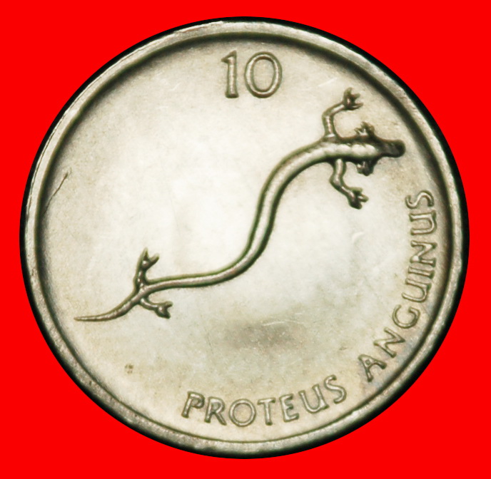 Ⰶ SALAMANDER (1992-2006): YUGOSLAVIA SLOVENIA ★ 10 STOTINKAS 1992 UNC LUSTRE★LOW START ★ NO RESERVE!