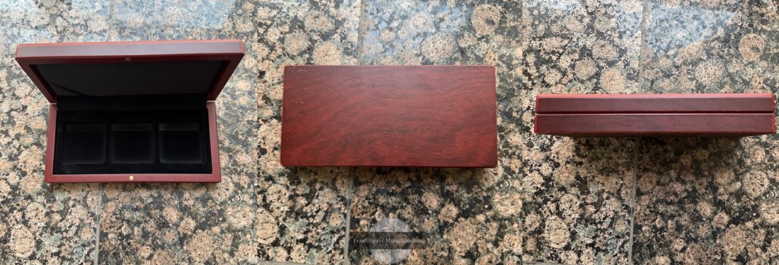  Münzen-Etui 19,5 x 3,3 x 9,3cm / 3 Fächer à 5 x 5cm FM-Frankfurt   