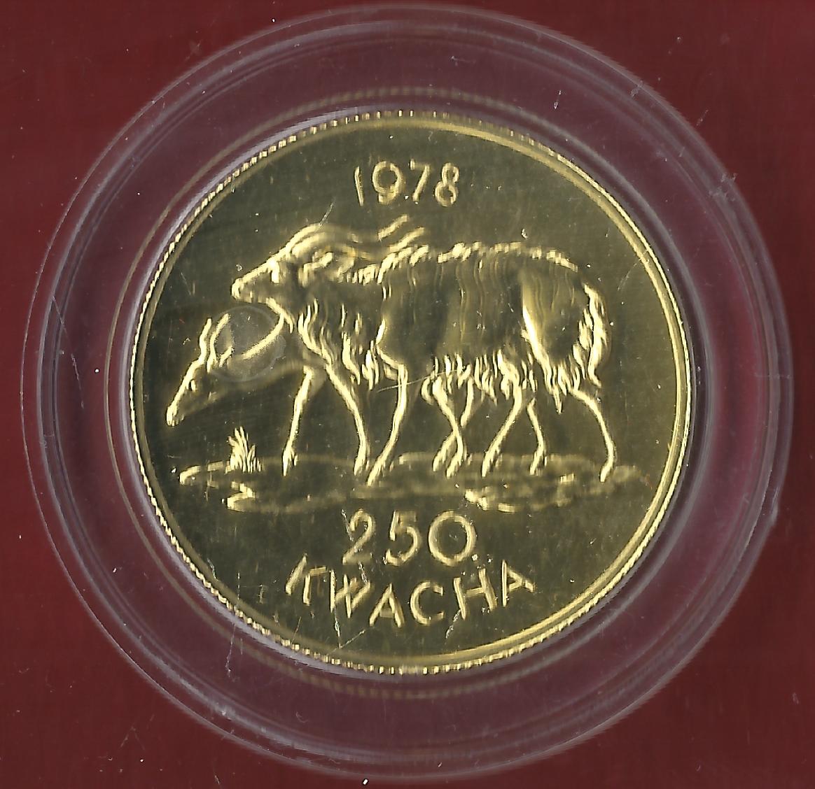  Malawi 250 Kwacha 566 Stück RR Münzenankauf Koblenz Frank Maurer AJ907   