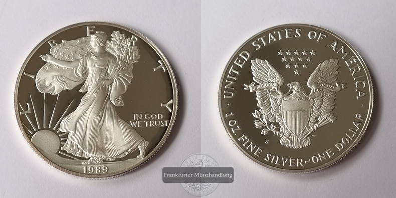  USA, 1 Dollar  1989  American Eagle  FM-Frankfurt Feinsilber: 31,1g   