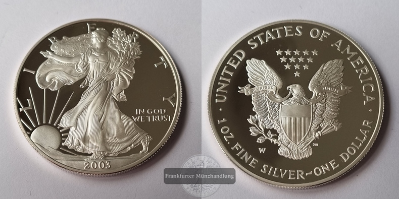  USA 1 Dollar  2003  American Eagle  FM-Frankfurt Feinsilber: 31,1g   